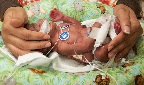 preemie